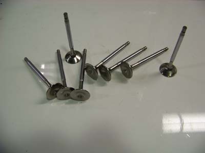 Supertech exhaust valves