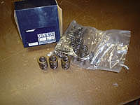 Greddy valve springs